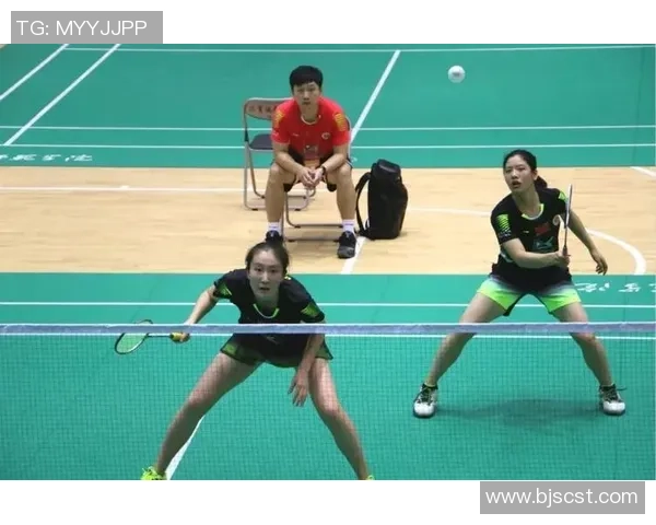 成都羽毛球队在锦标赛中的精彩表现与力量分析